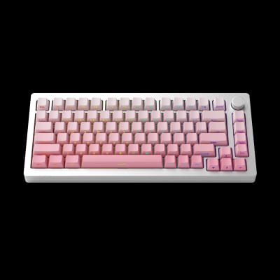 MonsGeek M1W SP - view 2