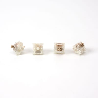 gateron baby raccoon — image 2