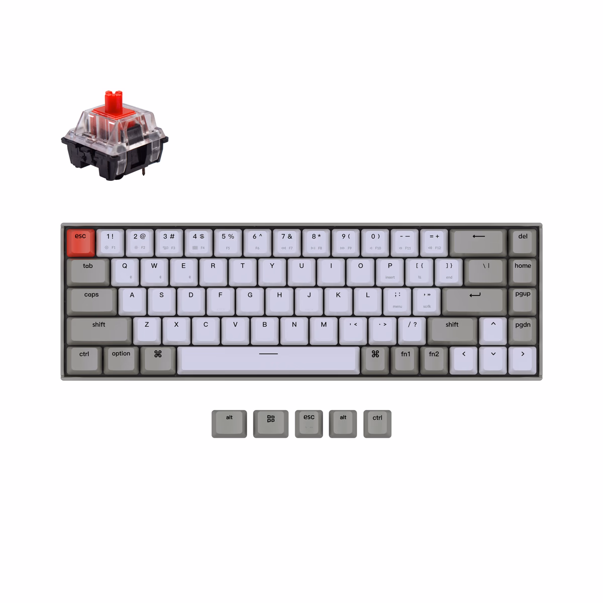 keychron-k6 switch product image