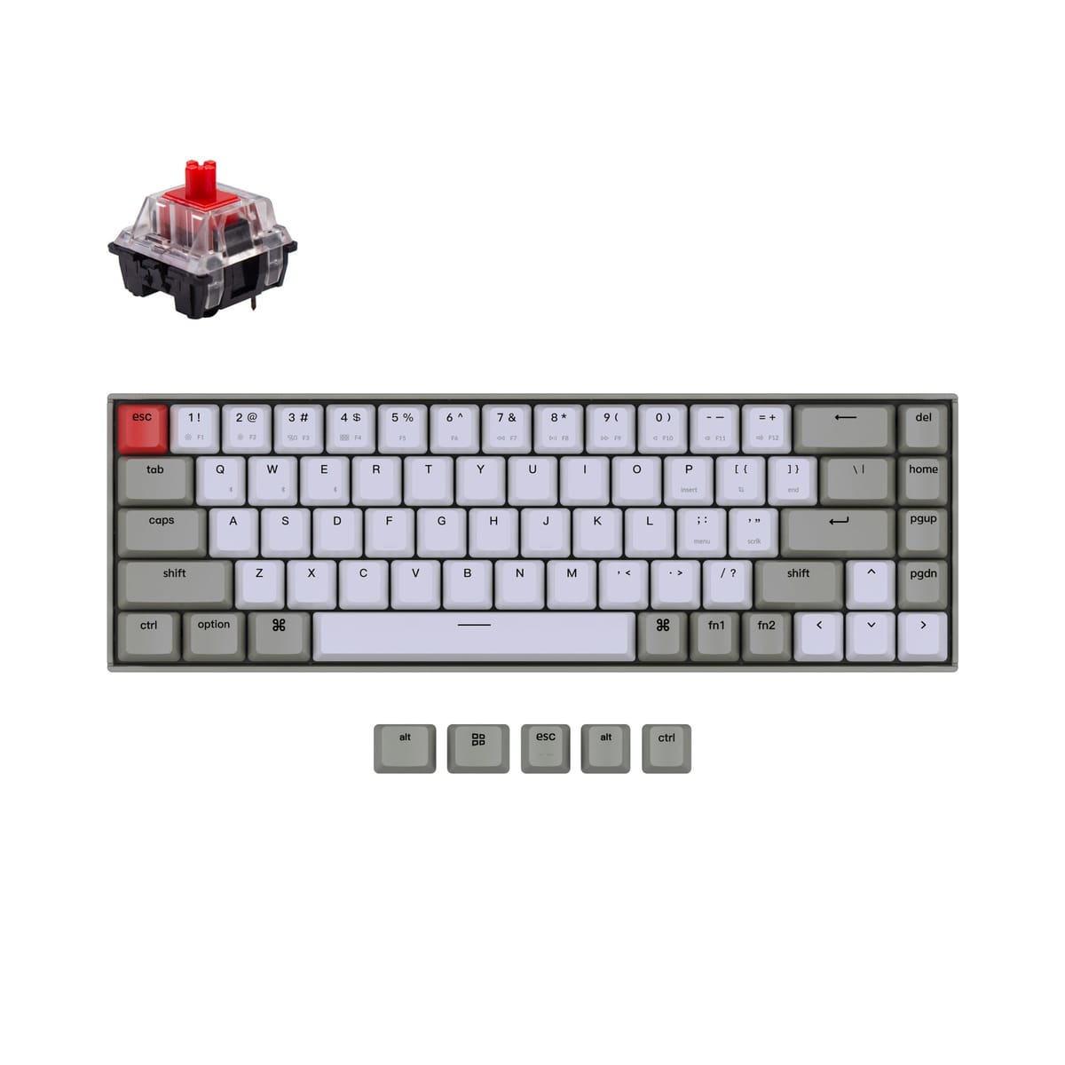 keychron-k6 switch product image
