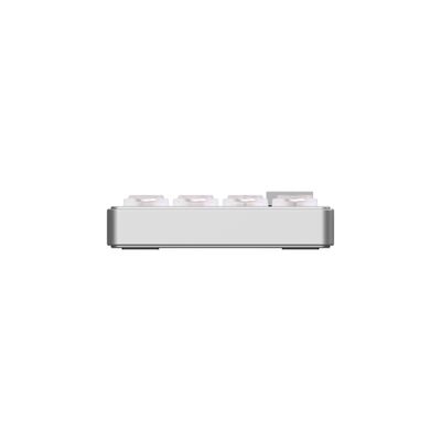 Epomaker Luma40 — image 5