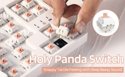 Royal Kludge x LTC Panda Switch - view 5