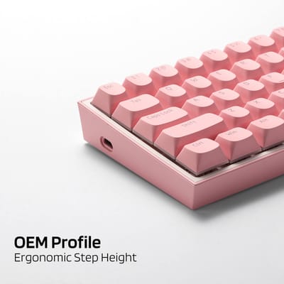 Royal Kludge x LTC 117-Key PBT Double Shot OEM (Pink) - view 5